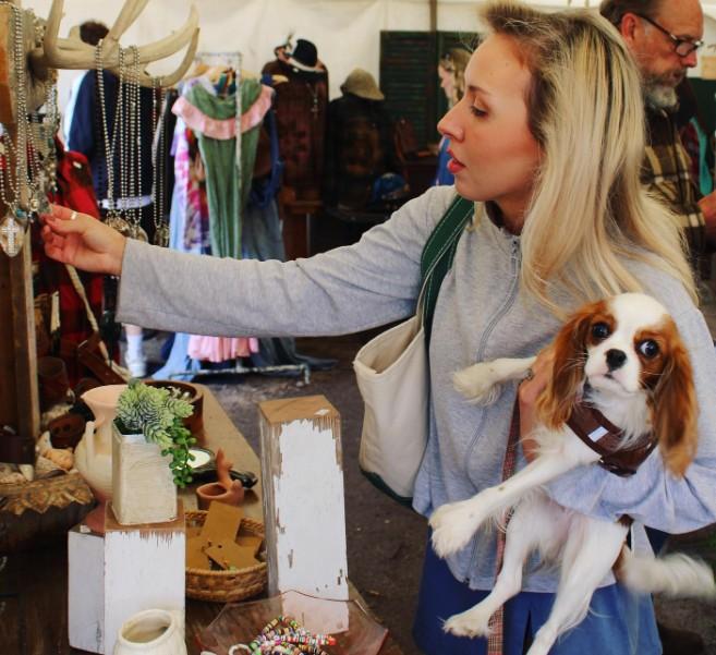 Pet Friendly Fall Junkstock