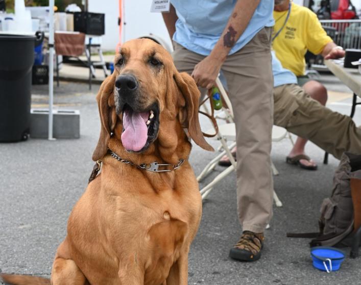 Pet Friendly Blue Ridge Trout and Outdoor Adventures Festival