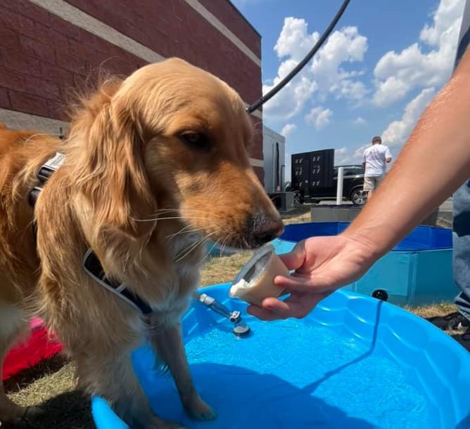 Pet Friendly Annual Doggy Ice Cream Social