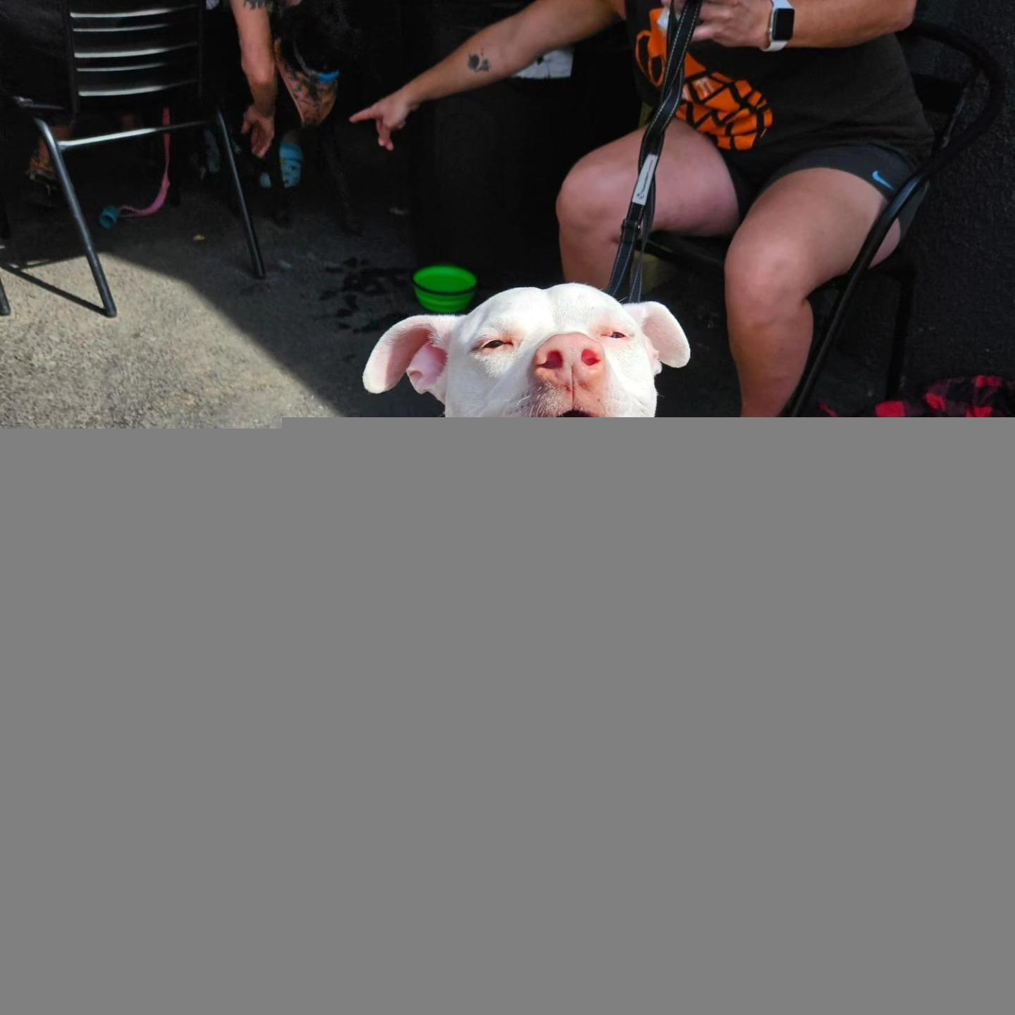 Pet Friendly What The Funk Music Trivia at Rumours Bar