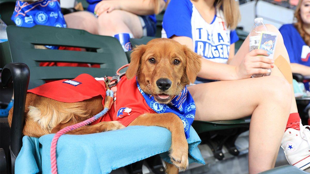Pet Friendly Bark at the Park with the Texas Rangers