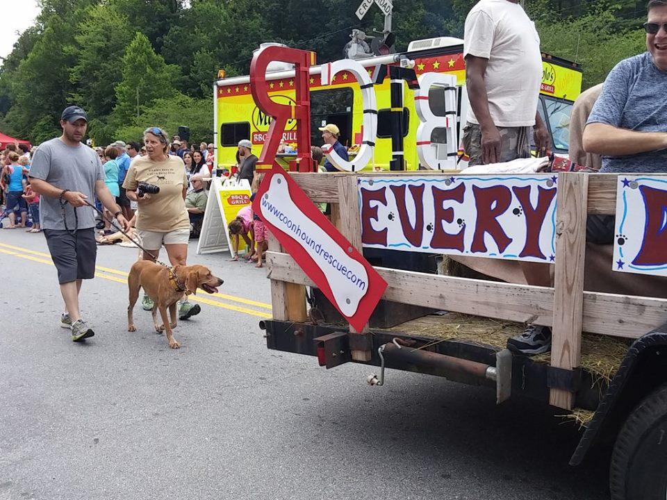 Pet Friendly Annual Coon Dog Day Festival