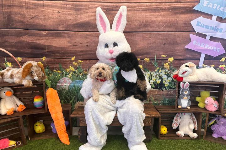 Pet Friendly Pet Photos with the Easter Bunny & Doggie Egg Hunt