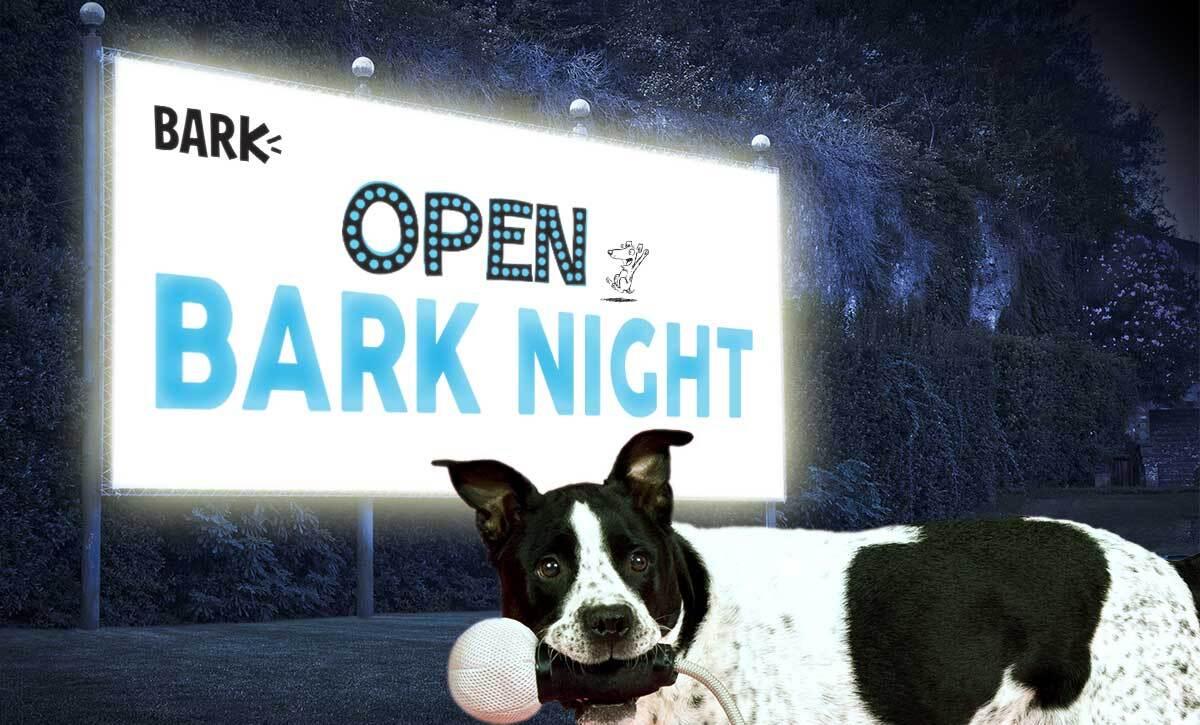 Dog Events In New York Bringfido