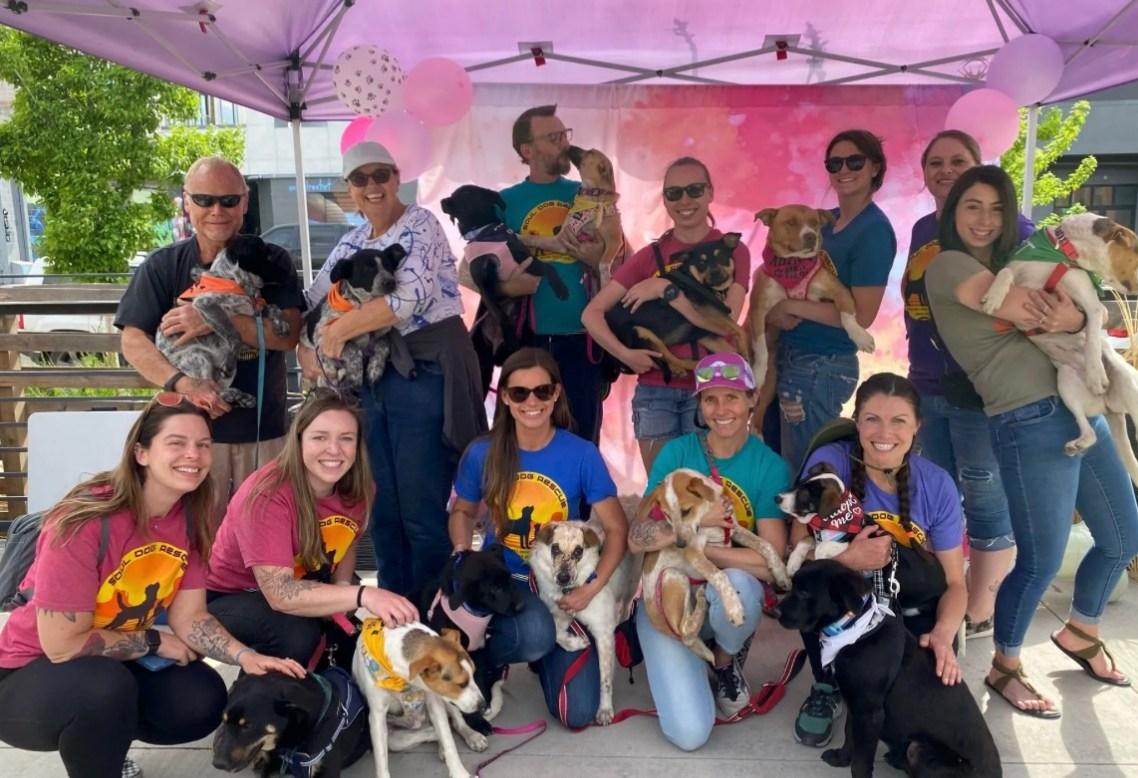 Pet Friendly Dog Days of Summer at Salisbury Equestrian Park