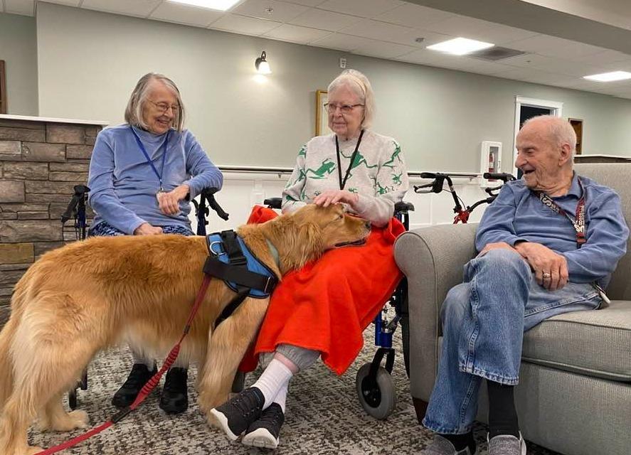 Pet Friendly Doggie Meet & Greet: Strut Your Stuff at Laurel Oaks