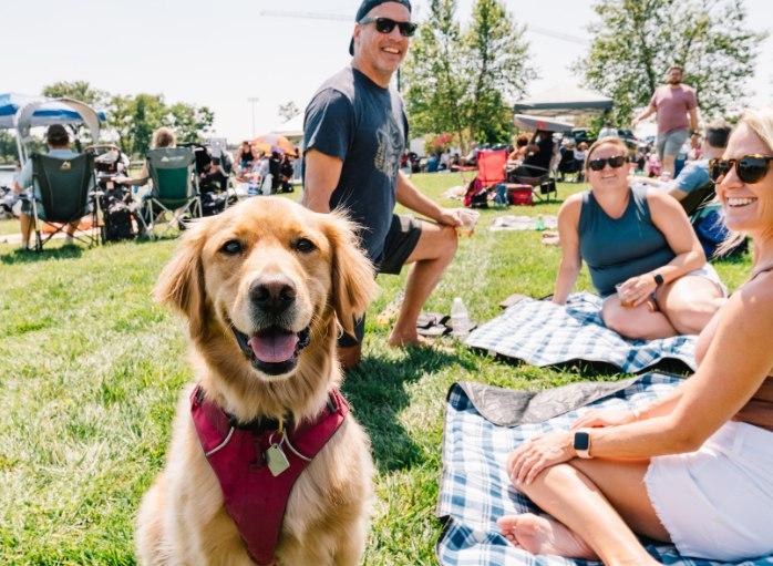 Pet Friendly Whiskey on the Waterfront