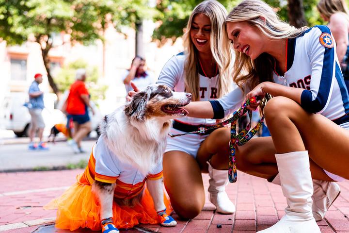 Pet Friendly Dog Day at Minute Maid Park