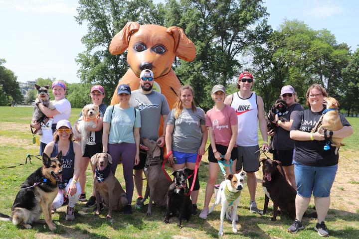 Pet Friendly Bark in the Park 5k and Festival