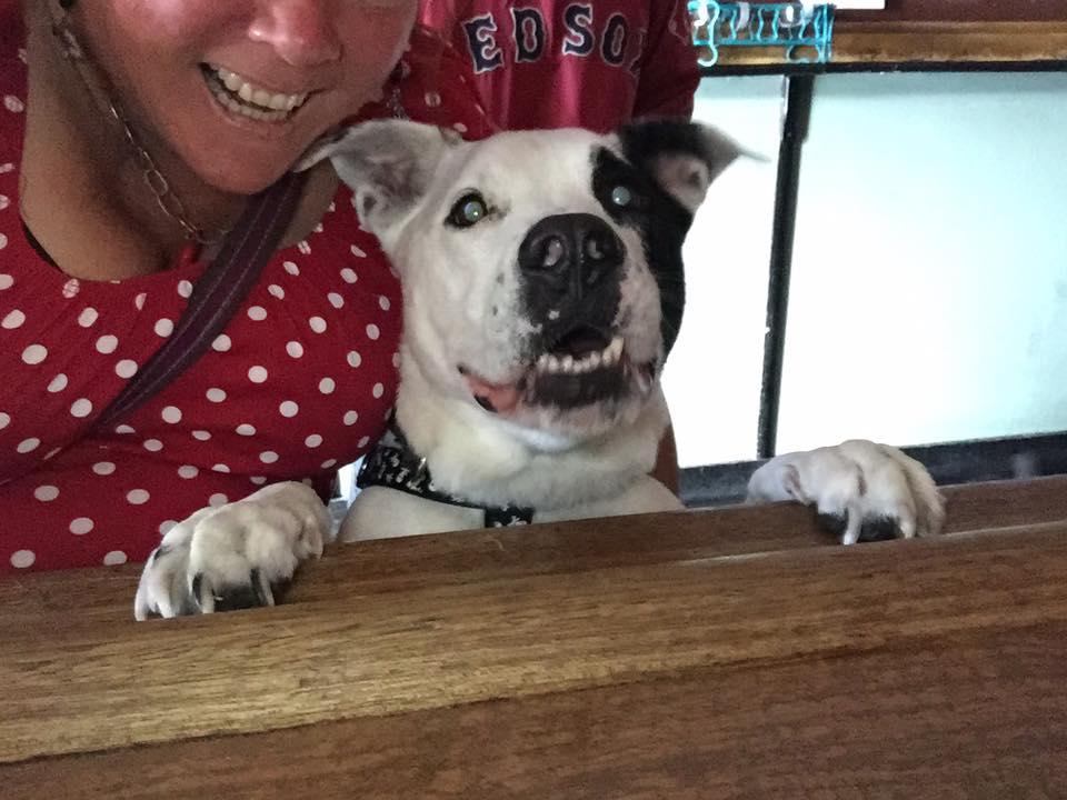 CANCELED Doggy Happy Hour for Grateful Dogs Rescue