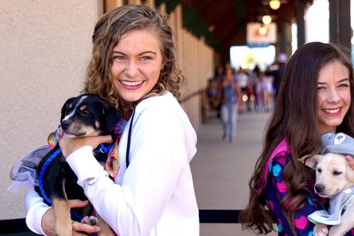 Pet Friendly Bark and Brews at Outlets at Castle Rock