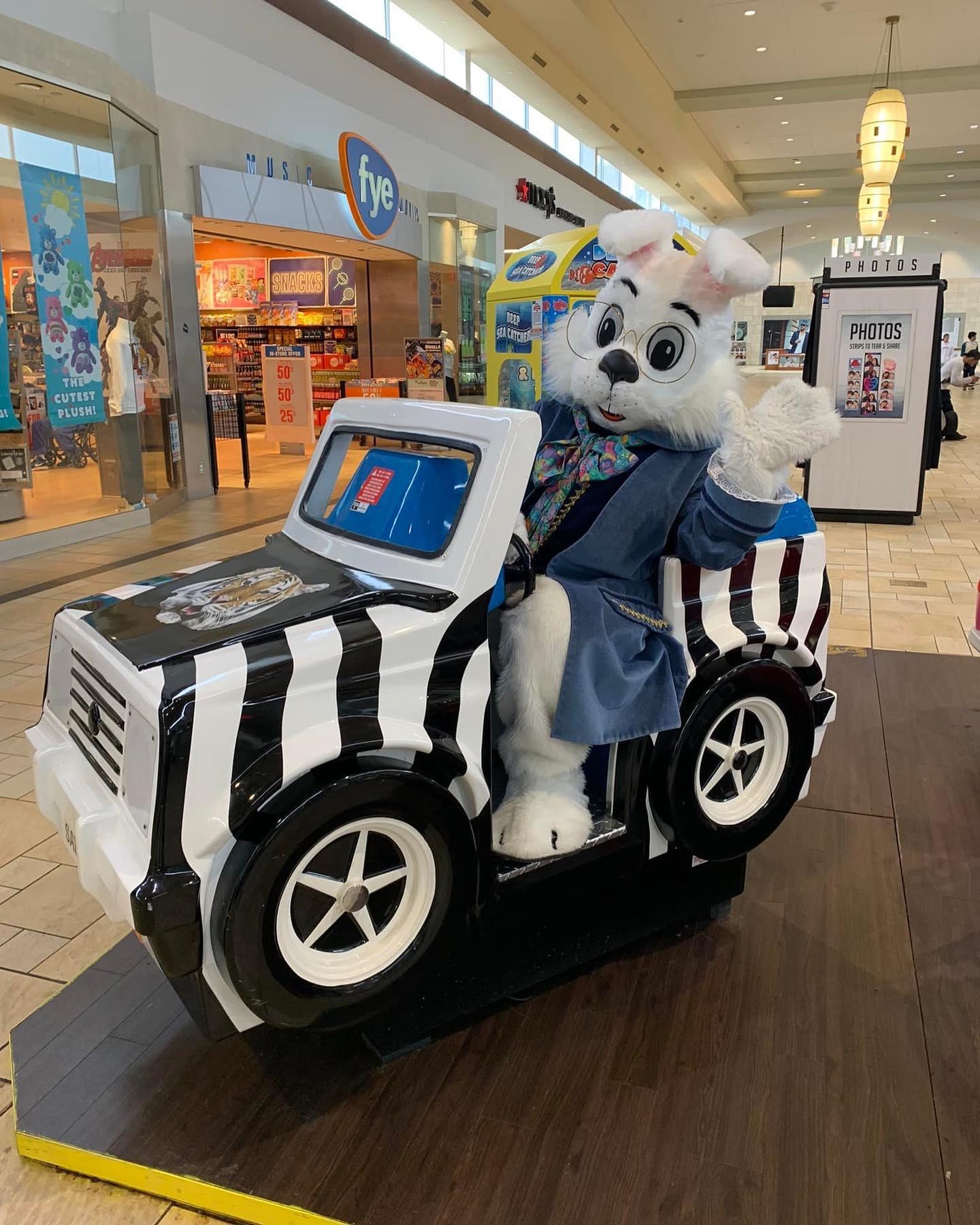 Pet Friendly Pet Photos with Bunny at Smith Haven Mall