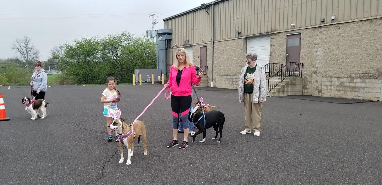 Pet Friendly Annual Doggie Easter Egg Hunt