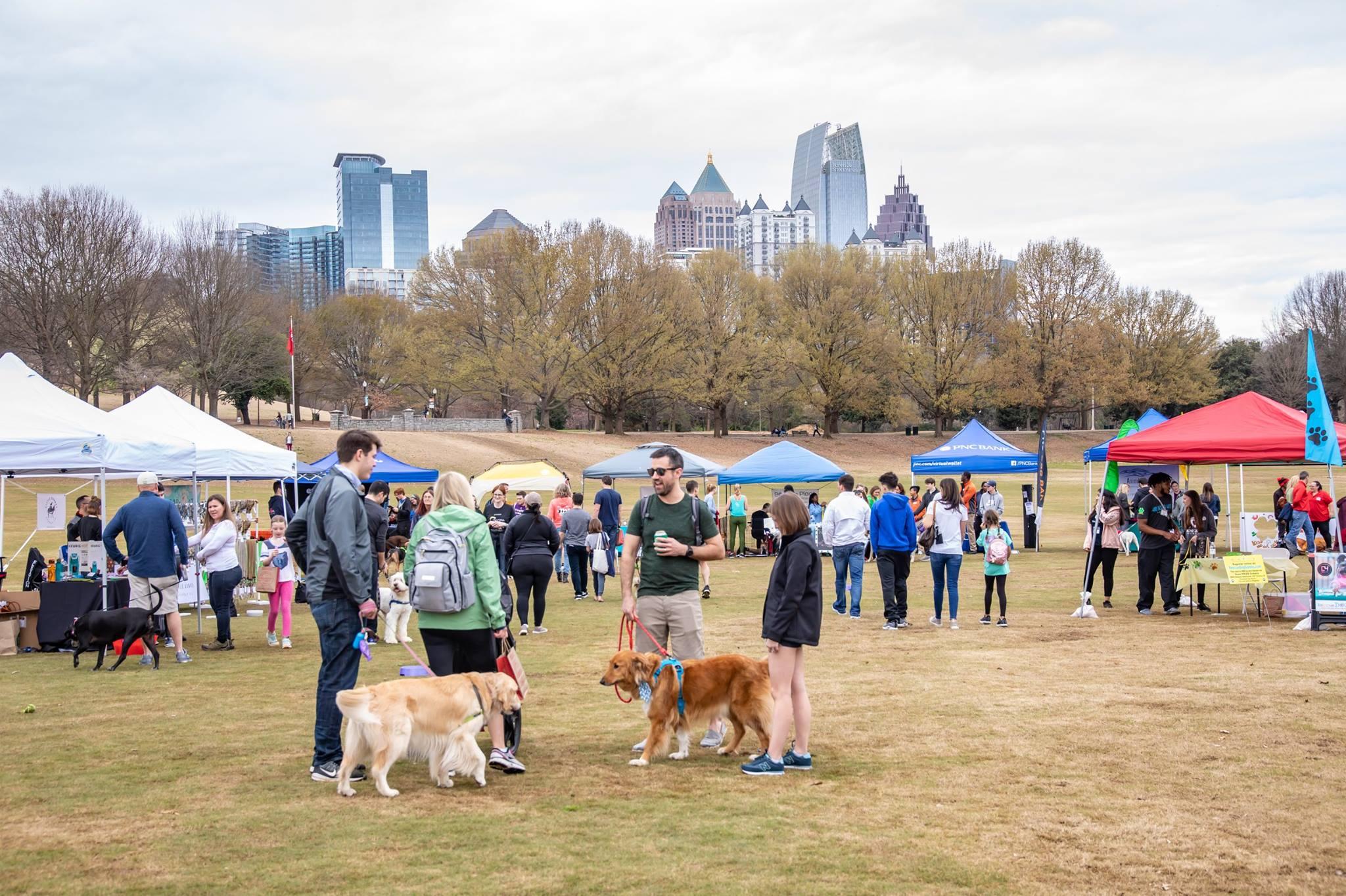 Pet Friendly Rescue Dog Games: Atlanta’s Dog Festival & Howl-O-Ween Party