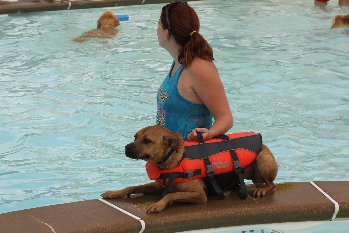 Pet Friendly Dog Splash