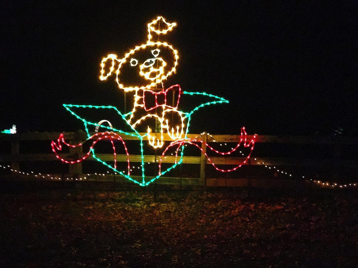 BringFido to Lights and Leashes Nights at Lights on the Bay