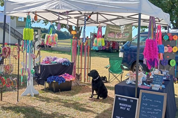 Pet Friendly Browns Bay Dog Day Out