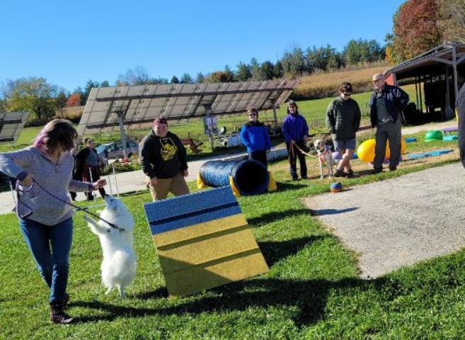 Pet Friendly Annual Corn Maze & Halloween Pawty