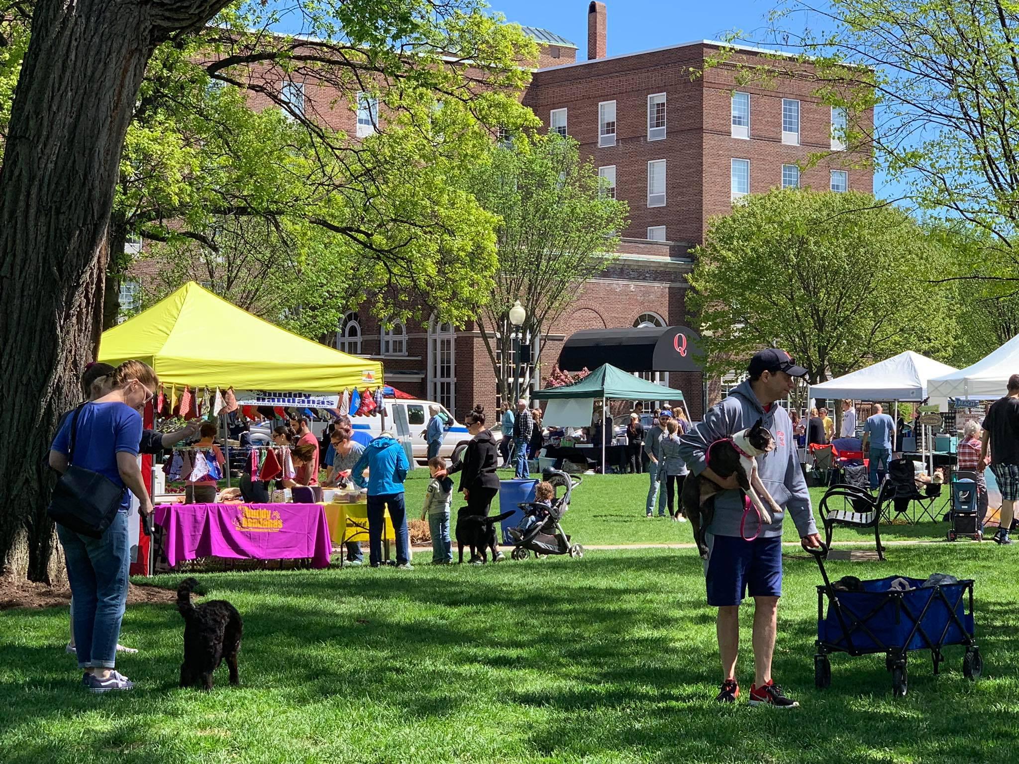 Annual Glens Falls Pet Fest