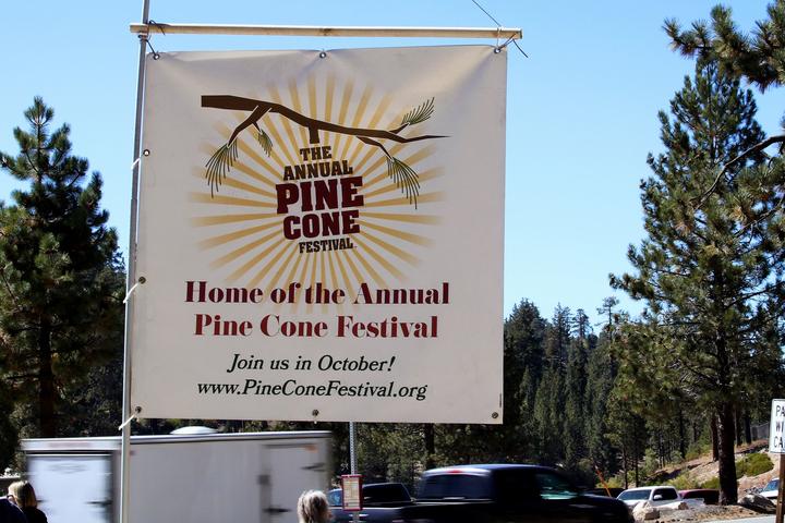 Pet Friendly Pine Cone Festival