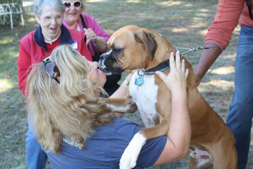 Dog Events Wake County May 2022