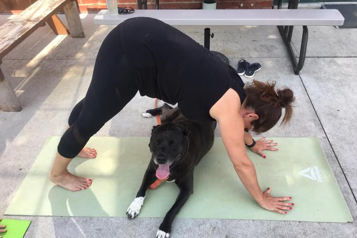 Pet Friendly Yoga with Venture Pawz