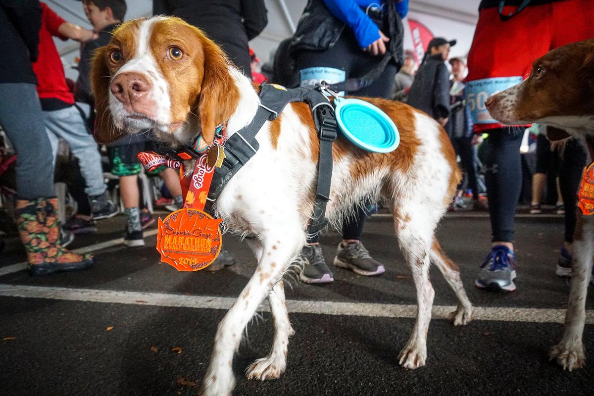 Columbia Dog Leg Half Marathon