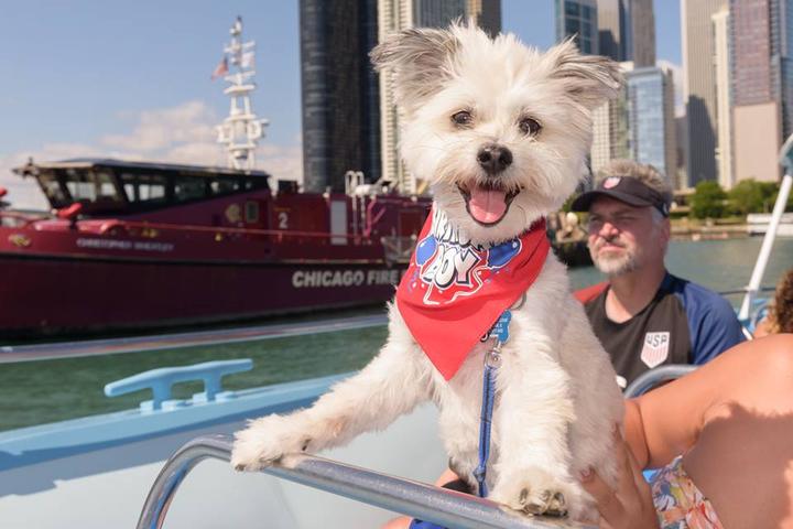 Pet Friendly Cruise with Roo