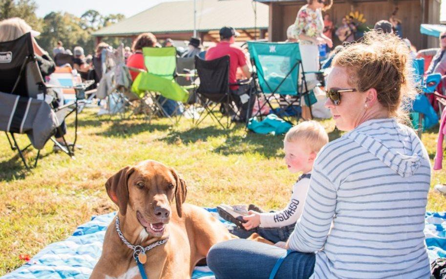 Pet Friendly Harvest Festival