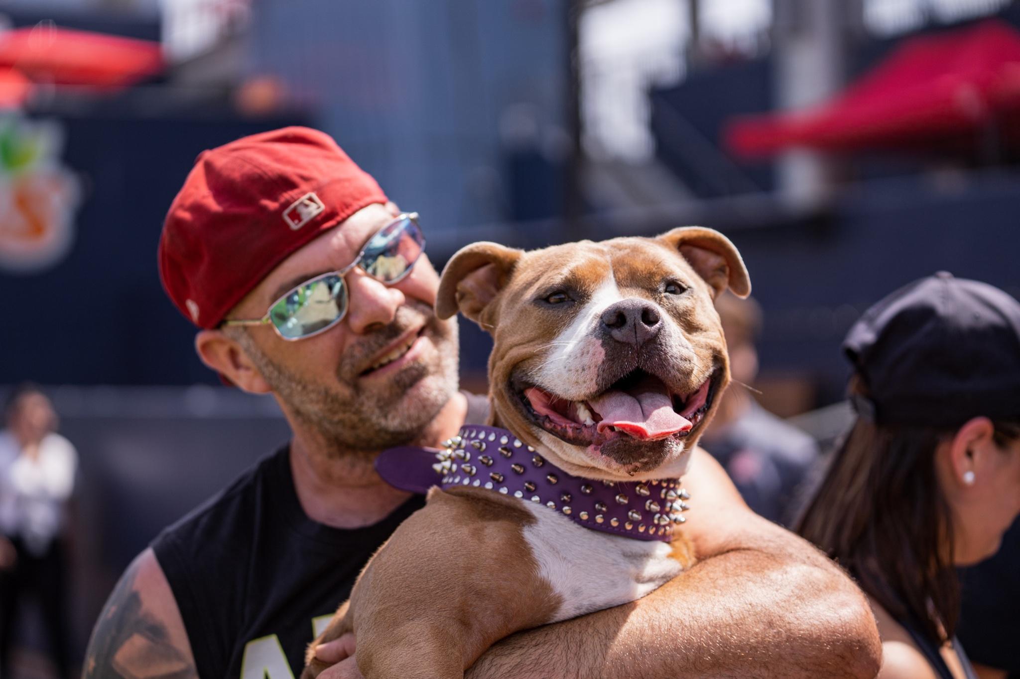 WooSox notebook: More than 300 dogs pack Polar Park for the first Bark in  the Park (photos) 