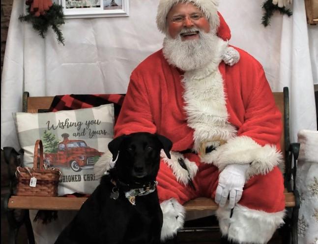 Pet Friendly Dog Days with Santa