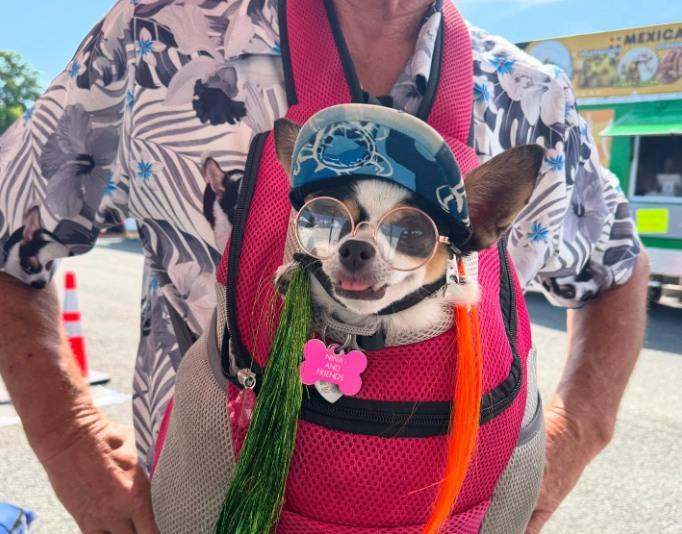 Pet Friendly Foodees Food & Culture Festival Daytona Beach