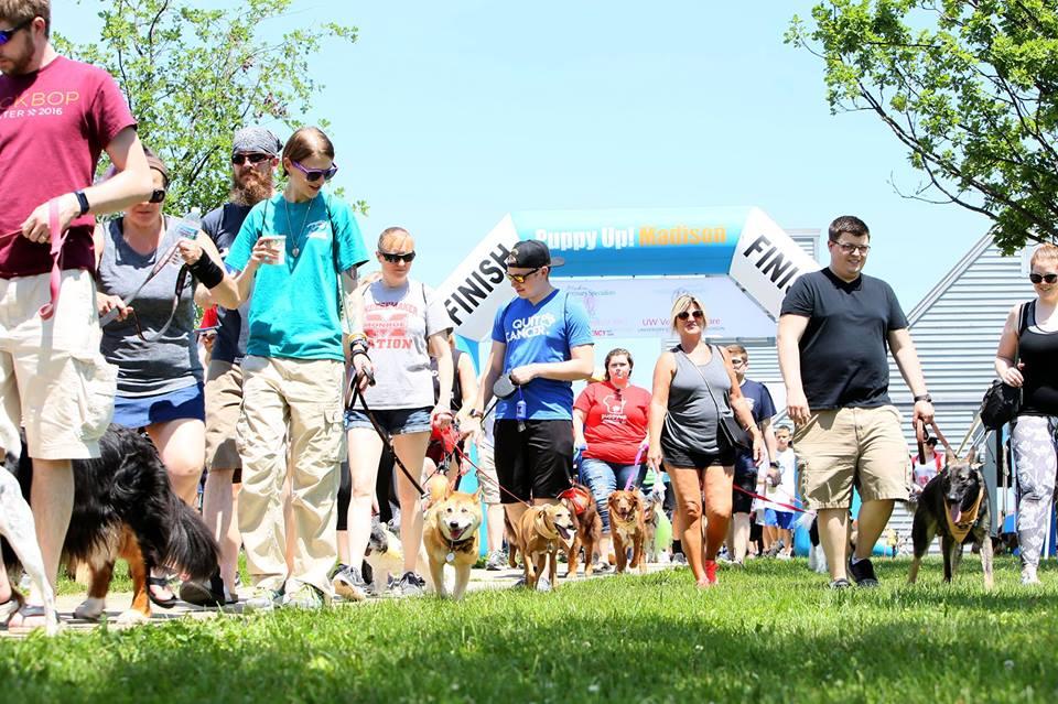 Dog Events In Madison Wi Bringfido
