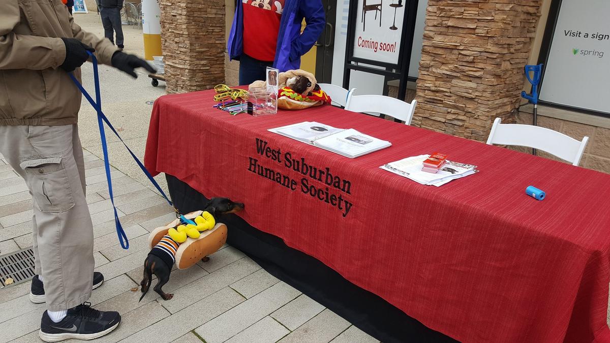 Pet Days at the Promenade and Pet Costume Parade