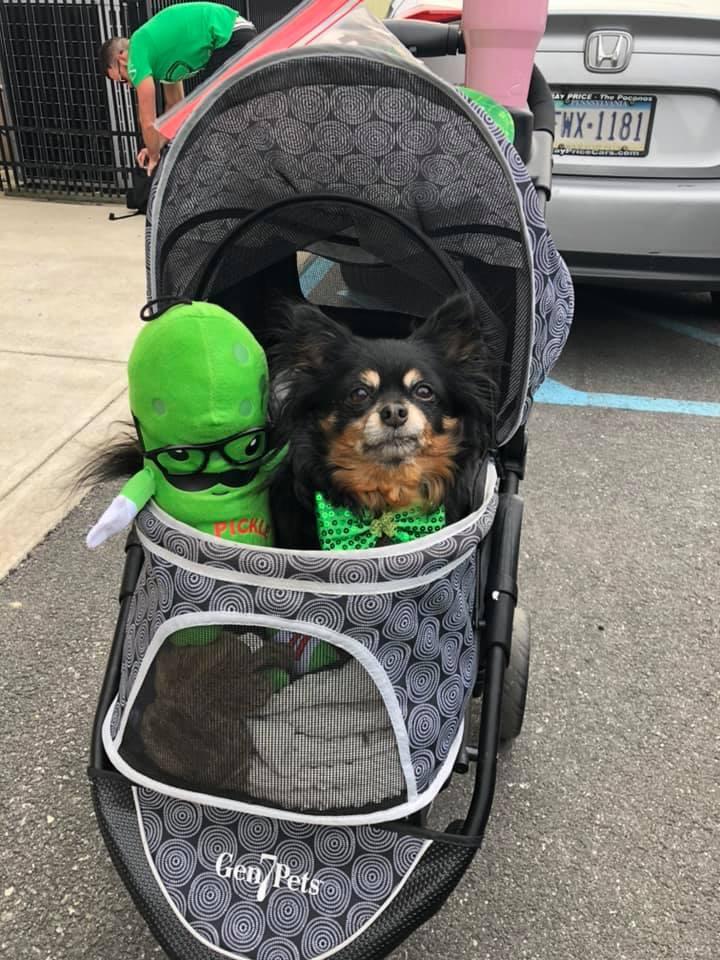 Pickle Me Poconos Festival