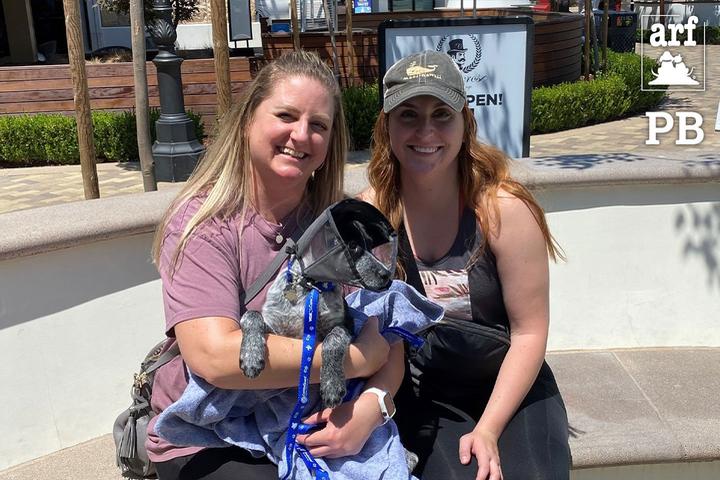 Pet Friendly Wellness Clinic for Veterans’ Pets