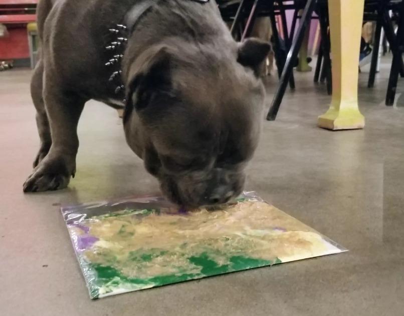 Pet Friendly Dog "Lick Painting"