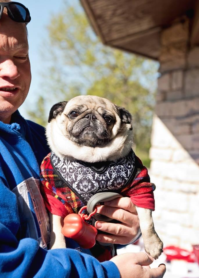 BringFido to 3rd Annual MidTennessee Pug Festival