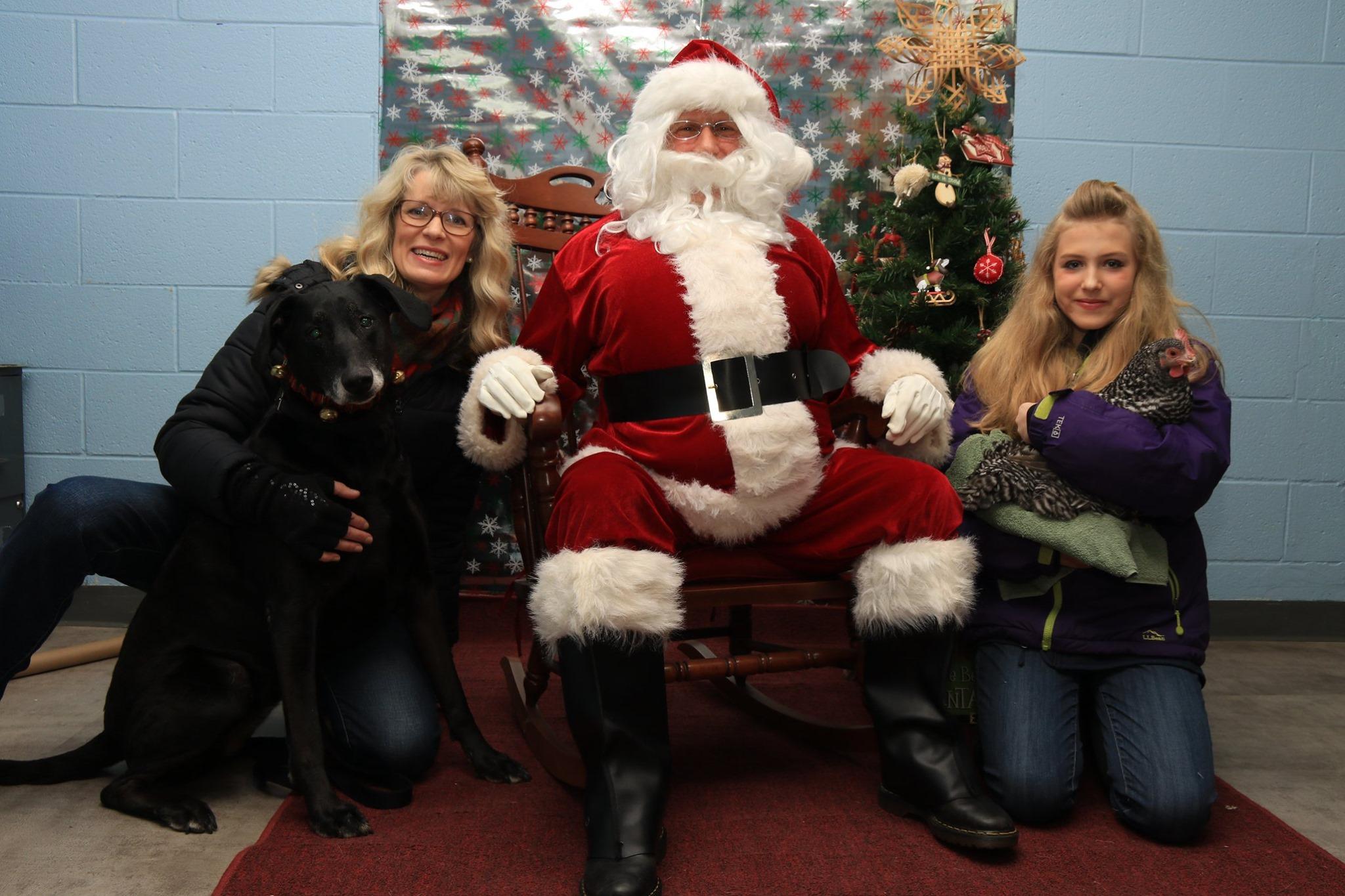 Pet Friendly Santa Paws Pet Photos