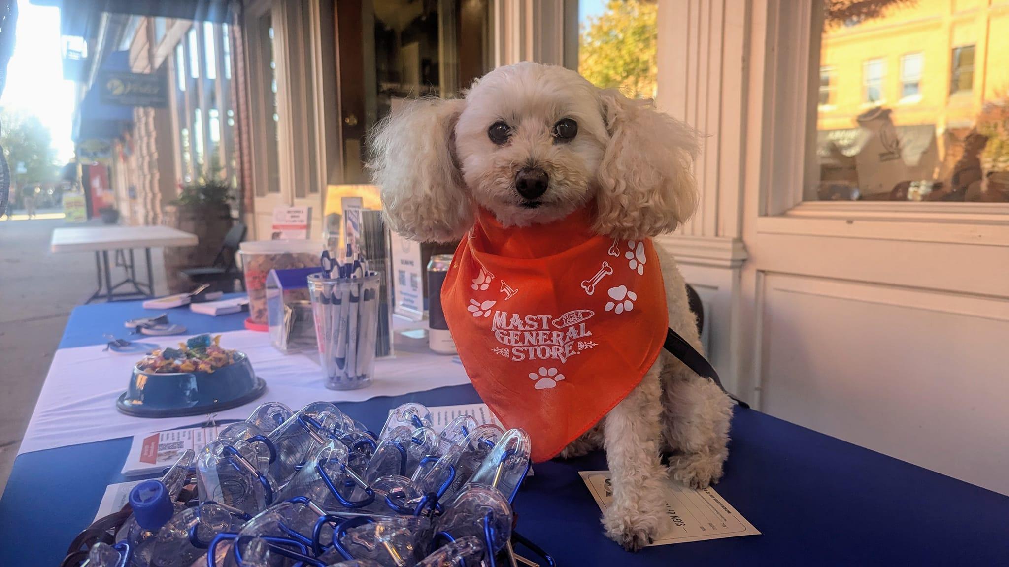 Paws for a Purpose at Mast General Store Hendersonville