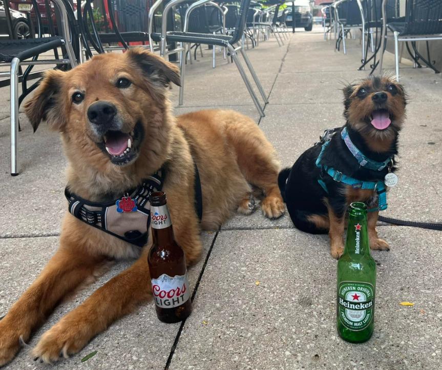 Pet Friendly Dog Friendly Happy Hour at Wrigleyville North