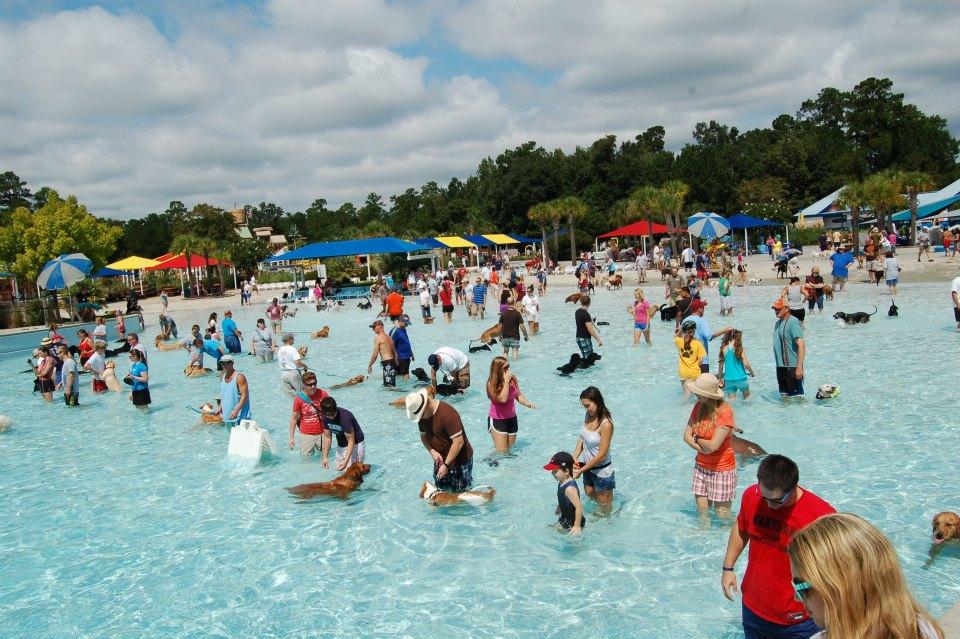 Pet Friendly Dog Day Afternoon at Splash Island Waterpark