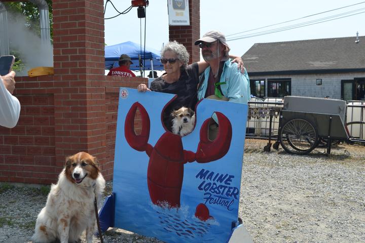 Pet Friendly Maine Lobster Festival