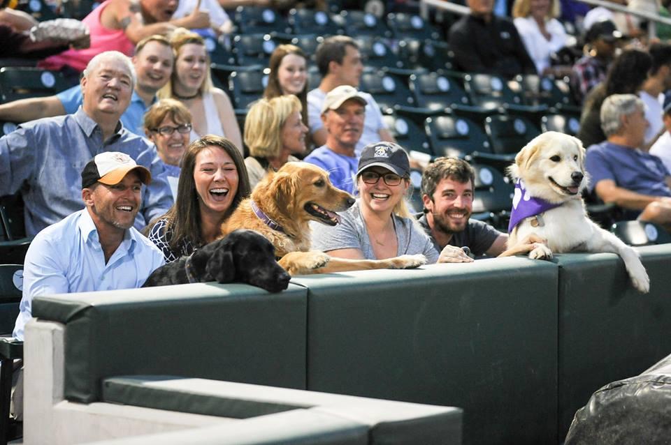 Pet Friendly Bark in the Ballpark with the Charlotte Knights