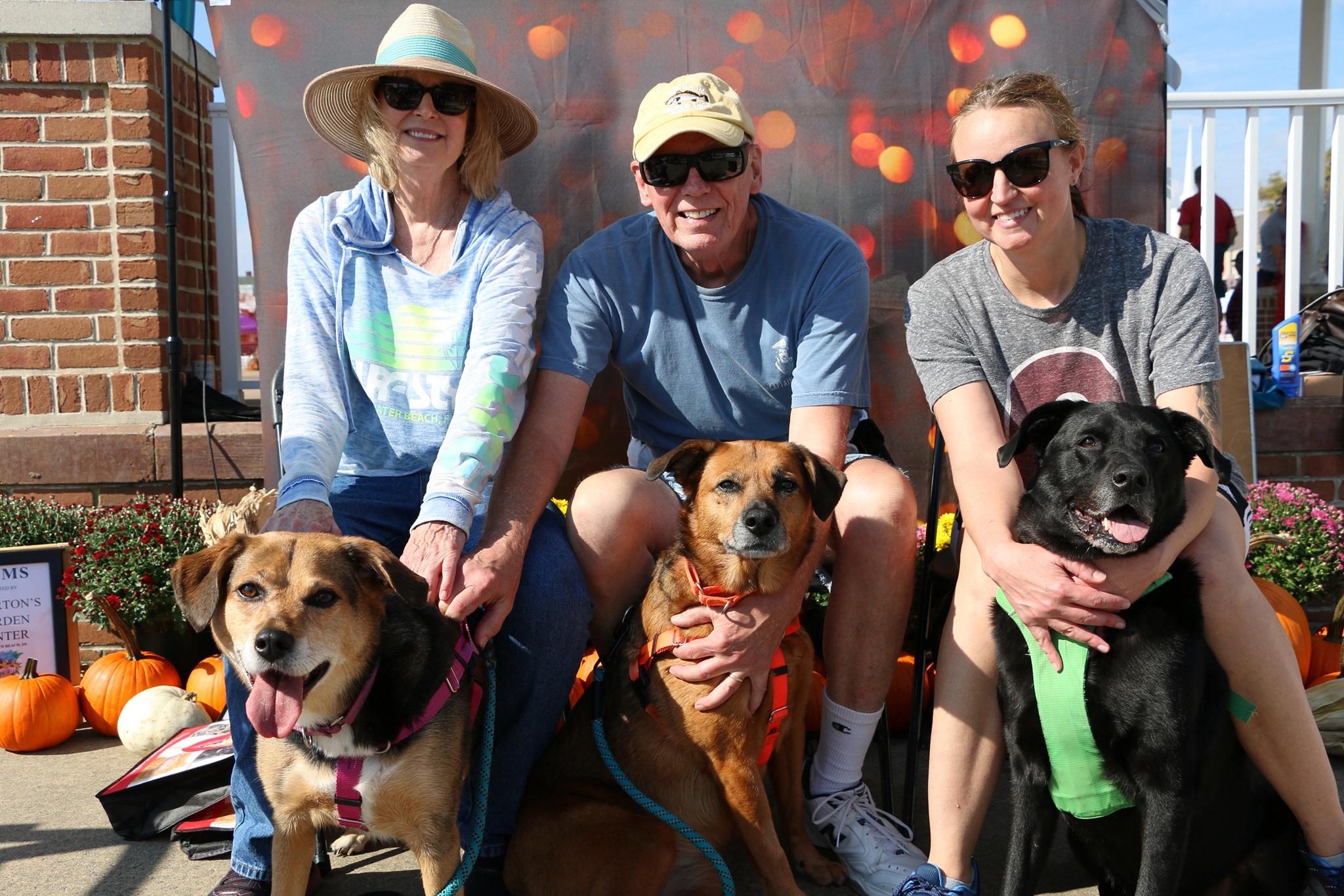 Pet Friendly Bark on the Boards Block Party