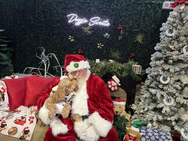 Pet Friendly Barkfast With Santa