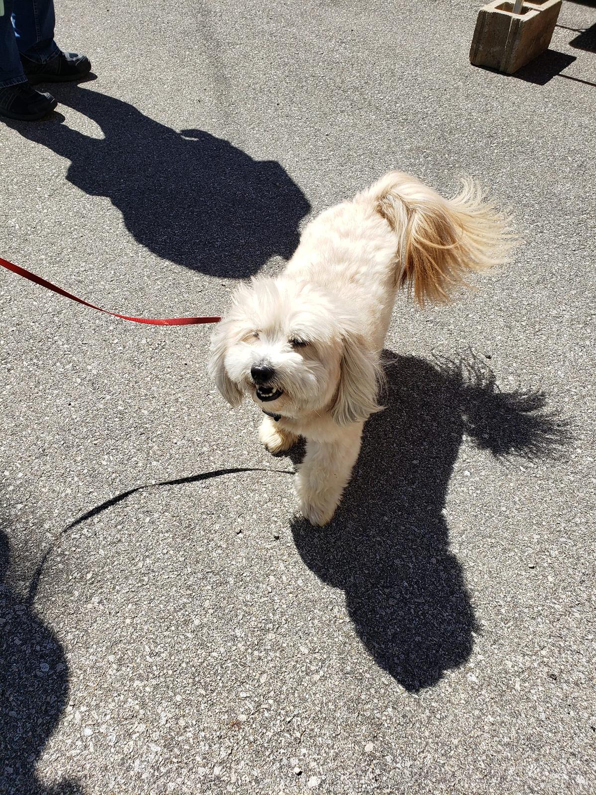 BringFido to Bark at the Park