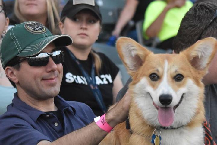 Pet Friendly Bark in the Park with Somerset Patriots