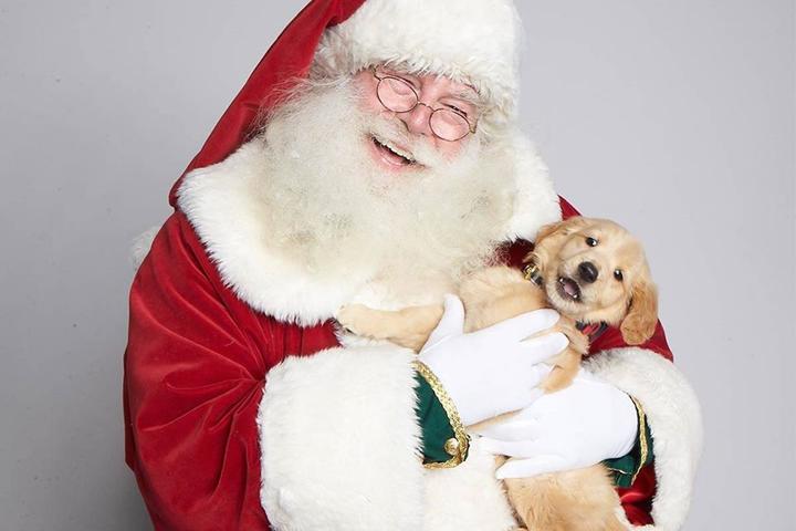 Pet Friendly Pet Photos with Santa at FlatIron Crossing