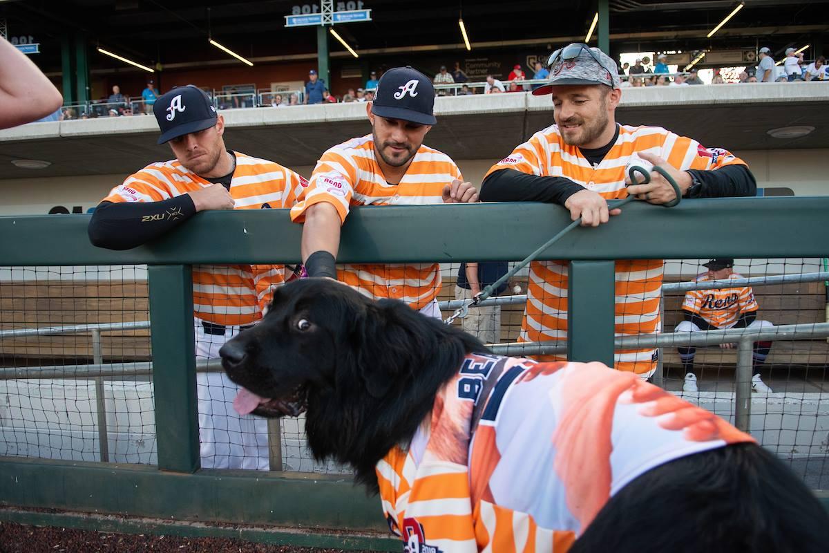 BringFido to Dog Day with the Reno Aces